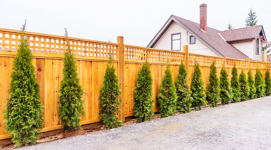 Install a Vinyl or Cedar Fence with Lattice Top in Indianapolis